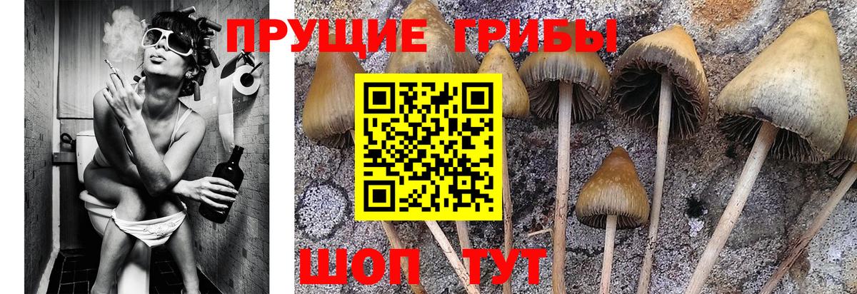 Лангепас  Вход с VPN  Кокаин  Экстази  Наркошоп  Марихуана  Мефедрон кристаллы  Гашиш 