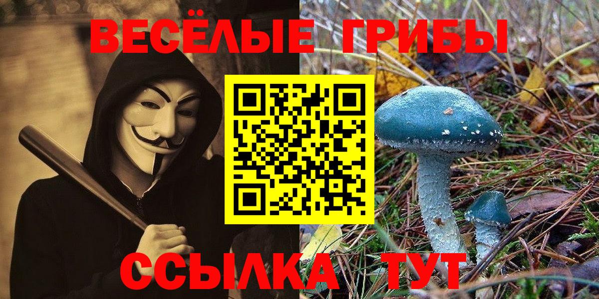 Галлюциногенные грибы Psilocybine cubensis  Вход с VPN  Псилоцибиновые грибы Psilocybine cubensis  Лангепас 